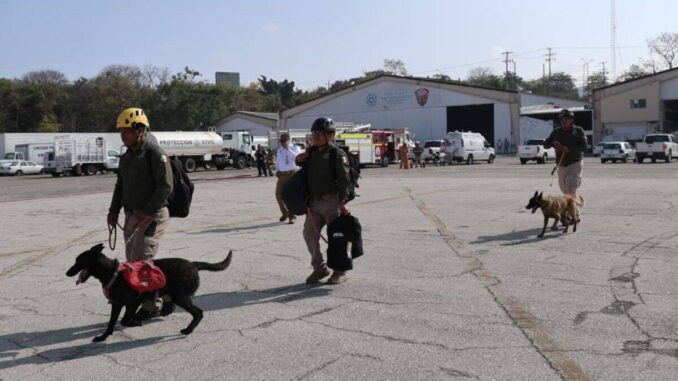 Refuerzan búsqueda de niña de 9 años en Chiapas con binomios caninos