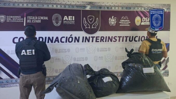 Asegura AEI 34 kilogramos de mariguana en la carretera a Aldama