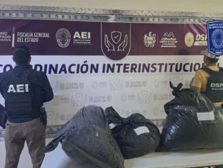 Asegura AEI 34 kilogramos de marihuana en la carretera a Aldama