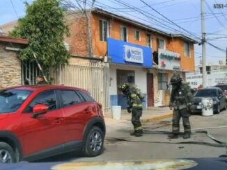 Rescataron Bomberos a pareja y sus cuatro perritos tras incendio en su vivienda