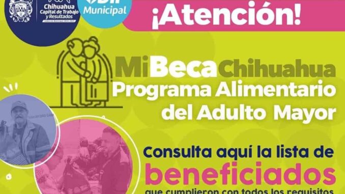 ¿Aplicaste para PAAM 2026? Anuncia Municipio los resultados