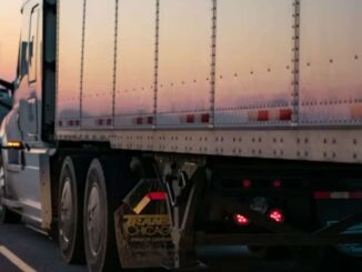 Autoridades hallan a 229 migrantes al interior de tráiler en Veracruz