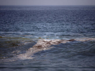 mancha de crudo en el golfo de México tiene «impacto severo» en el ecosistema