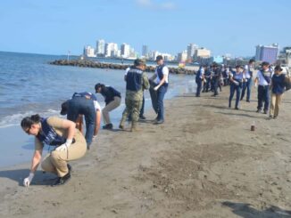 Despliegan más de 2 mil 450 elementos por presencia de hidrocarburos en costas de Veracruz y Tabasco