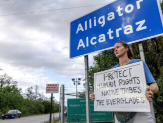 Jueza de EE.UU. ordena a ICE permitir abogados a migrantes detenidos en Alligator Alcatraz