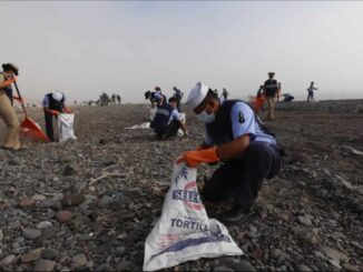 Retiran más de 740 toneladas de hidrocarburo en las costas del Golfo de México