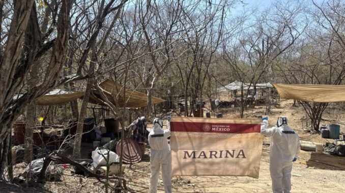 Marina neutraliza narcolaboratorio en Sinaloa