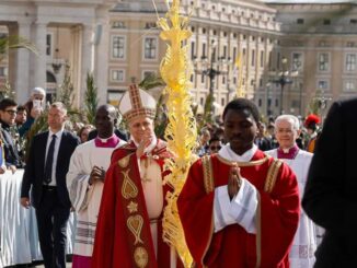 papa León XIV pide este Domingo de Ramos deponer las armas
