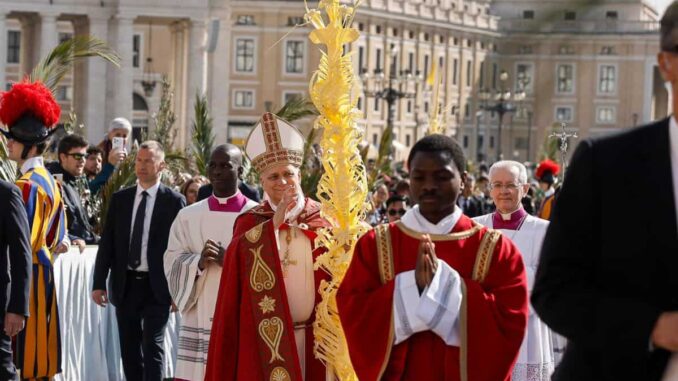 papa León XIV pide este Domingo de Ramos deponer las armas