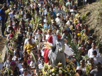 Católicos de América Latina piden en el Domingo de Ramos acabar con las guerras e injusticias