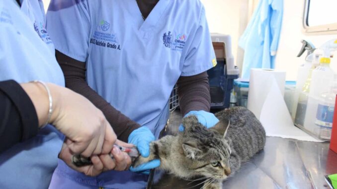 Esterimóvil con servicios gratuitos estará en la Dale