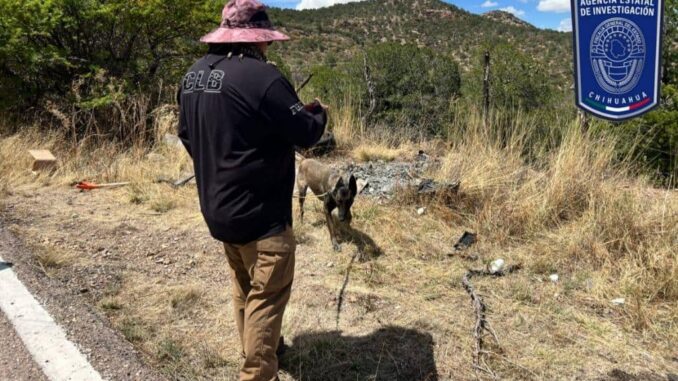 Localizan FDZS, FEDH y CLB restos óseos durante rastreo en carretera Parral- Guadalupe y Calvo