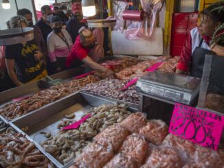 México alcanza 38 % de fraude en venta de pescado y duplica promedio global, según estudio