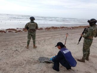Recolectan más de 890 toneladas de hidrocarburo en el Golfo de México