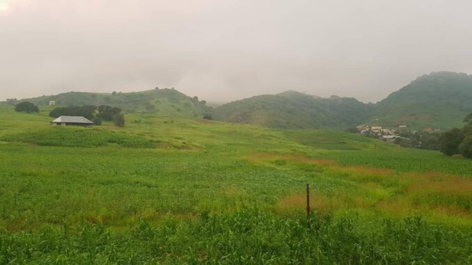 Frente Frío 43 ocasiona lluvia, descenso de temperaturas y viento en el estado