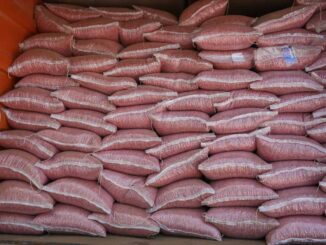 Abre SDR convocatoria para apoyo en semilla de frijol