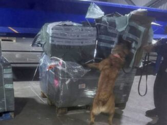 Aseguran casi dos millones de cigarros ilegales en el AICM provenientes de Asia