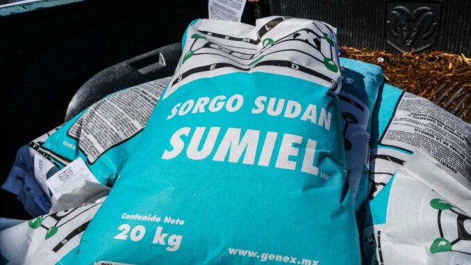 Lista convocatoria para apoyo en semilla de sorgo forrajero