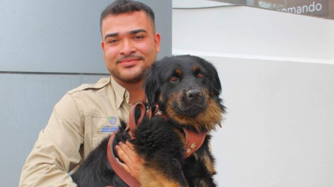 Exhorta Municipio a cuidado de mascotas en Día Nacional del Animal de Compañía