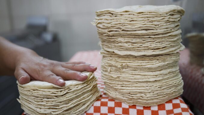 Descartan Agricultura y Profeco alza en precio de la tortilla