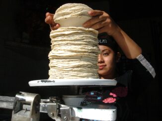 «No hay ninguna razón»: Sheinbaum descarta incremento en el precio de la tortilla