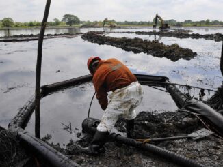 Oceana califica de «insuficiente» gestión de Pemex por derrame de hidrocarburo el Golfo de México