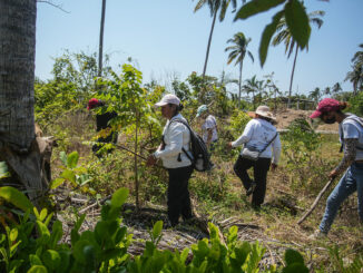 AI alerta del deterioro de derechos humanos y crisis de desaparecidos en México