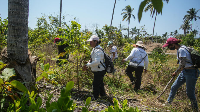 AI alerta del deterioro de derechos humanos y crisis de desaparecidos en México