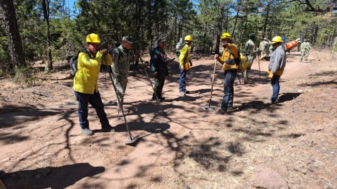 Llama SDR a evitar quemas agrícolas sin autorización para prevenir incendios forestales