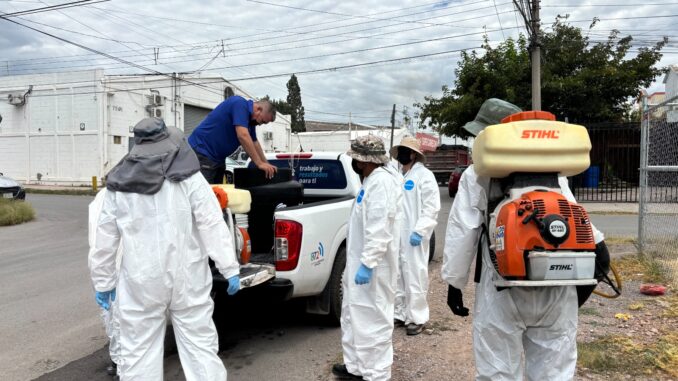 Lleva Gobierno Municipal programa “Megapatio de mi Casa” a Punta Oriente