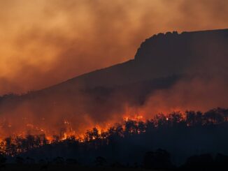 Cambio climático elevaría hasta 15 % la mortalidad en México, según estudio
