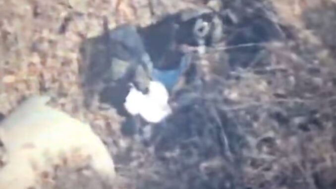 Así fue la detención del ‘Jardinero’, líder del CJNG; fue seguido por 19 meses