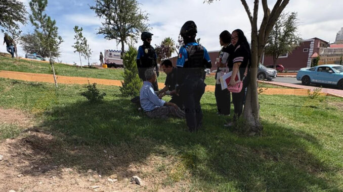 Adulto mayor es atacado a golpes y pedradas en jardines de El Trébol