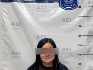 Detiene AEI a mujer por el delito de abuso sexual