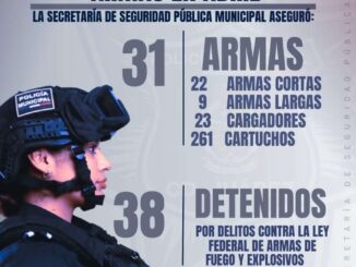 Aseguran más de 30 armas de fuego en abril