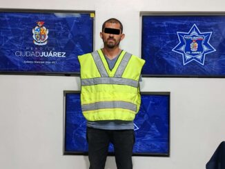 Arrestan a hombre por matar a un perro con una piedra