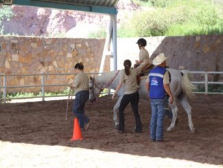 Ofrece Gobierno Municipal servicio de Equinoterapia para apoyar el desarrollo