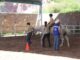 Ofrece Gobierno Municipal servicio de Equinoterapia para apoyar el desarrollo