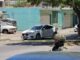 Asesinan a maestro y escritor en Culiacán, Sinaloa