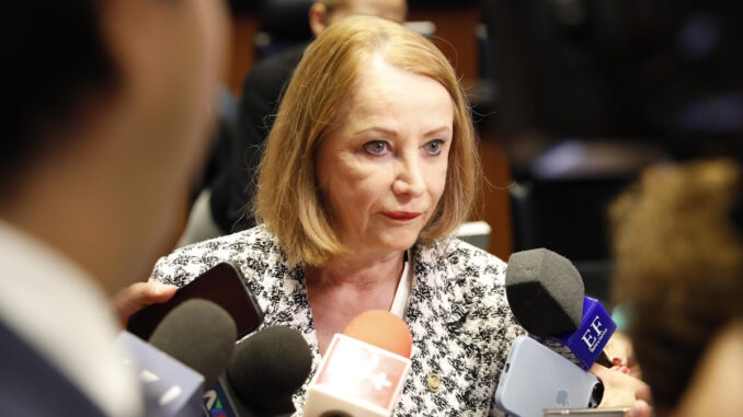 Morena debe postular perfiles intachables: Laura Itzel Castillo