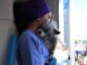 Fortalece Municipio protección animal con esterilizaciones para perros y gatos