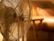 Activan alerta amarilla por onda de calor en la CDMX: ¿Cuáles son las alcaldías más afectadas?