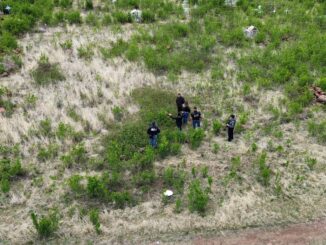 Realiza FGE Occidente rastreo en fincas abandonadas y panteón de La Norteña en Madera