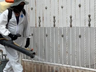 Refuerza Municipio prevención contra la rickettsia con programa “Patio de Mi Casa”