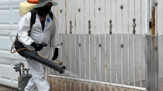 Refuerza Municipio prevención contra la rickettsia con programa “Patio de Mi Casa”