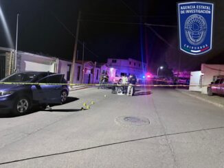 Ejecutan a coordinadora de morena en Valle de Allende
