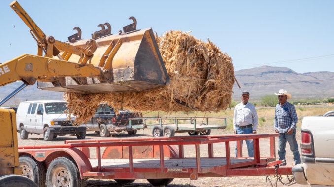 Abren la convocatoria para acceder a apoyo de esquilmos y pacas de rastrojo