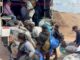 Inicia el regreso de familias desplazadas a Chilapa, Guerrero, con apoyo de fuerzas federales