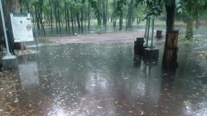 Semarnat confirma fecha de reapertura del Parque Viveros de Coyoacán