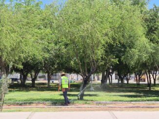 Mantiene Municipio en buen estado parques emblemáticos de la capital